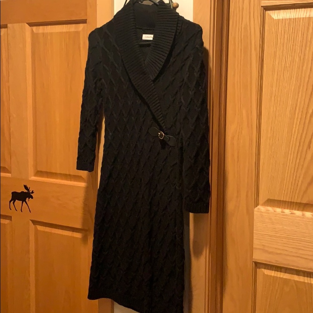 Cozy Sweater  Dress